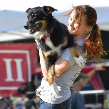 aim high canines dog act