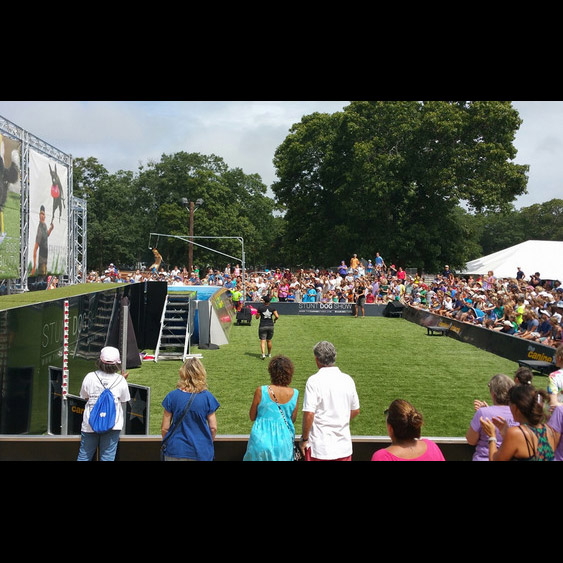 canine stars stunt dog shows