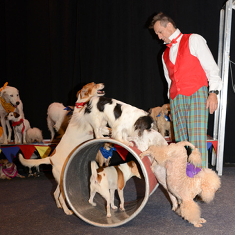 Johnny Peers and the Mutville Comix Circus Dog Show