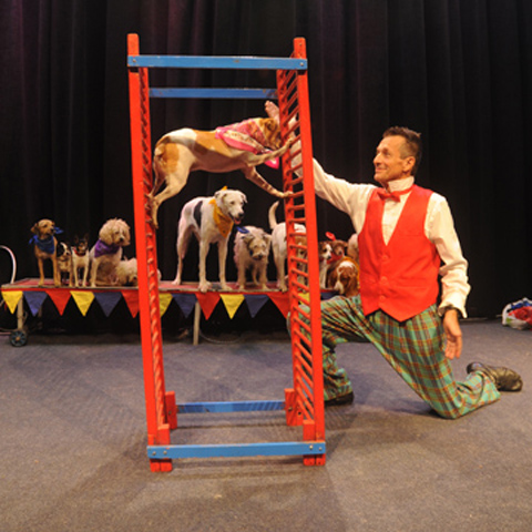 Johnny Peers and the Mutville Comix Circus Dog Show