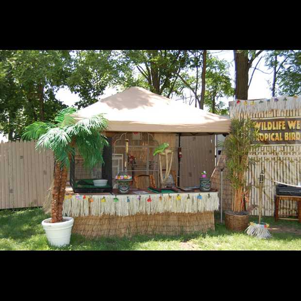 Wildlife Wendy Tropical Bird Show Act